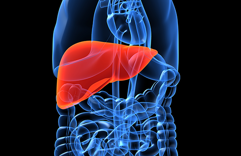 간 기능 보호